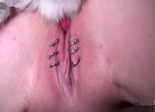 Pierced pussy for a sexy doggy