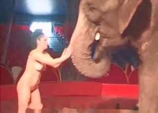 Elephant and hot naked stripper