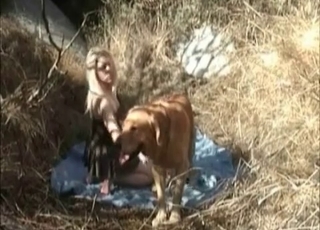 Outdoor zoo sex with a mutt