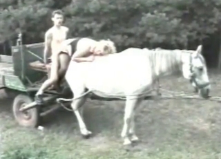 White horse fucks in the ass