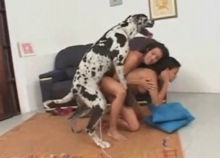 Two ladies and their Dalmatian