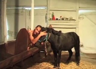 Zoophile and his black pony