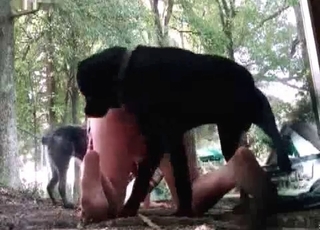 Sweet bestiality threesome action in the forest