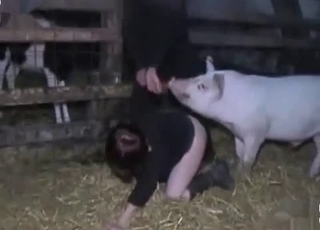Fat pig fucks a zoophile woman