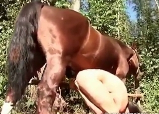 Chick fucked with a huge cock