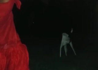Black slut fucked by a puppy