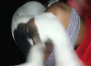 Black slut fucked by a puppy