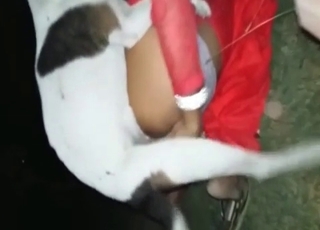 Black slut fucked by a puppy