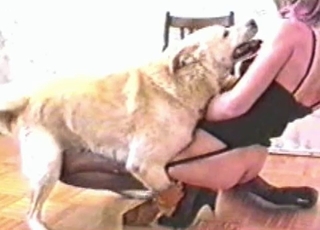 Fetish zoo sex with a doggy