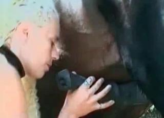 Horses cock in girls mouth