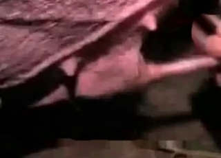 Zoo sex with a horny animal