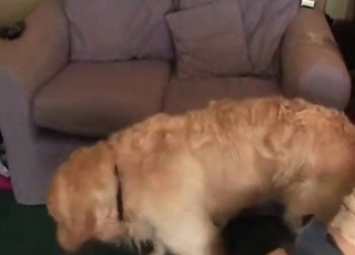 Doggy fucking a couple