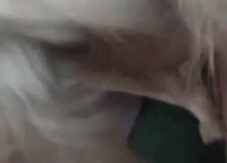 Doggy fucking a couple