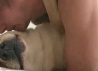 Hungry trained dog in zoo sex