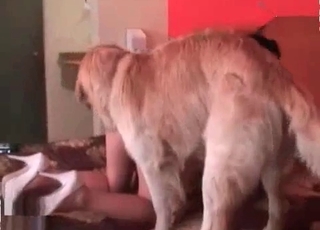 Doggy style banging with a dog