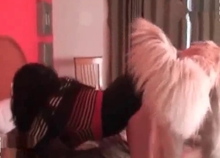 Doggy style banging with a dog