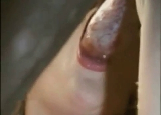 Black dog licks a juicy snatch