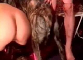 Fantastic girl nailed by a dog