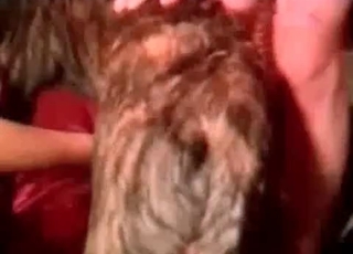 Fantastic girl nailed by a dog