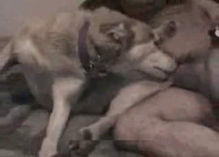 Nailing two doggies