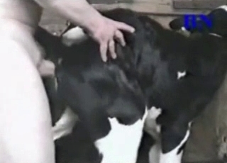 Dirtiest farm bestiality action