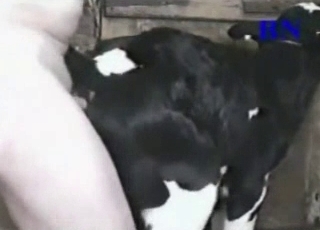 Dirtiest farm bestiality action