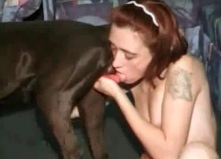 Cute blowjob for a small dog dick