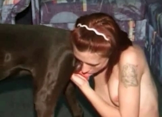 Cute blowjob for a small dog dick