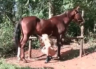 Mustang and a blonde lady