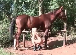 Mustang and a blonde lady