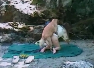 Outdoor action with a nice puppy