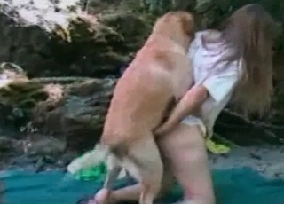 Outdoor action with a nice puppy