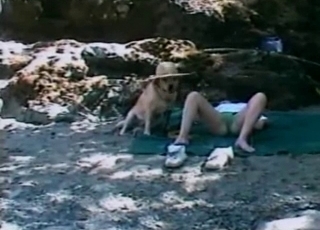 Outdoor action with a nice puppy