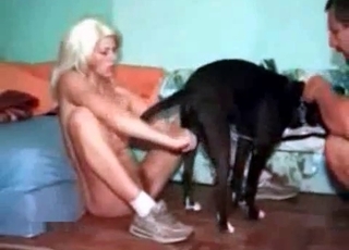 Black mongrel with a blondie