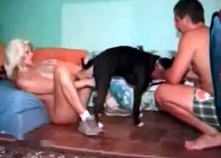 Black mongrel with a blondie