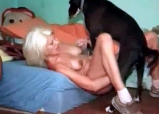 Black mongrel with a blondie