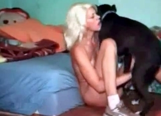 Black mongrel with a blondie