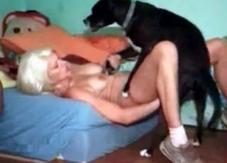 Black mongrel with a blondie
