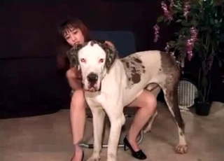 Beauty and her lovely animal