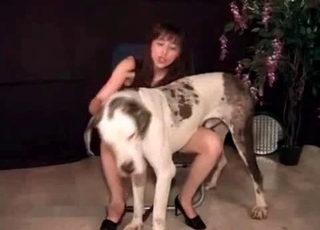 Beauty and her lovely animal