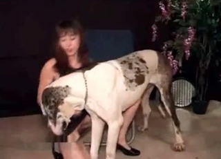 Beauty and her lovely animal