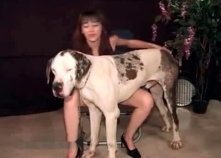 Beauty and her lovely animal