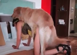 Truly passionate bestiality porn