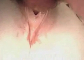 Horses ass hole in close up