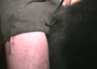 Bestiality porn with a guy