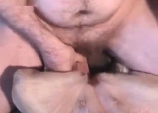 Mutt fucked in close up
