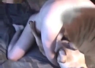 Mutt fucked in close up