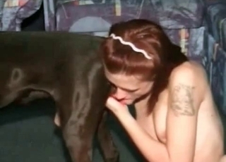 Redhead stimulates her doggy