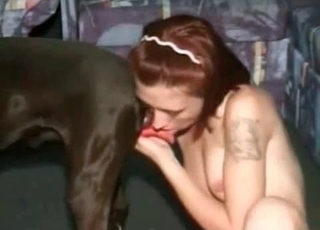 Redhead stimulates her doggy