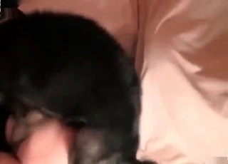 Licked out by a mongrel